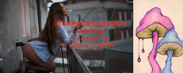 прущая мука Лабытнанги